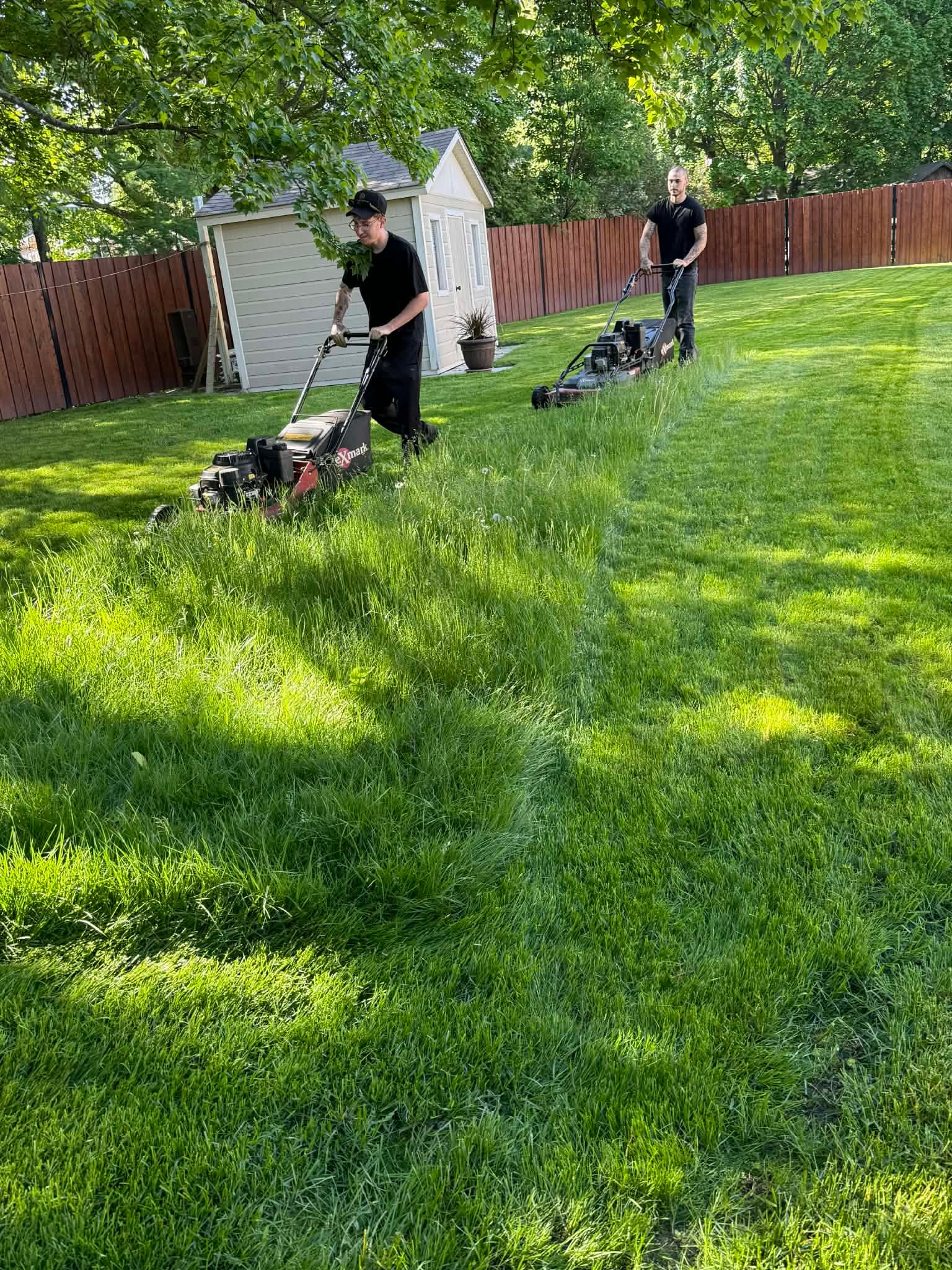 Paradis du gazon- tonte de gazon-2