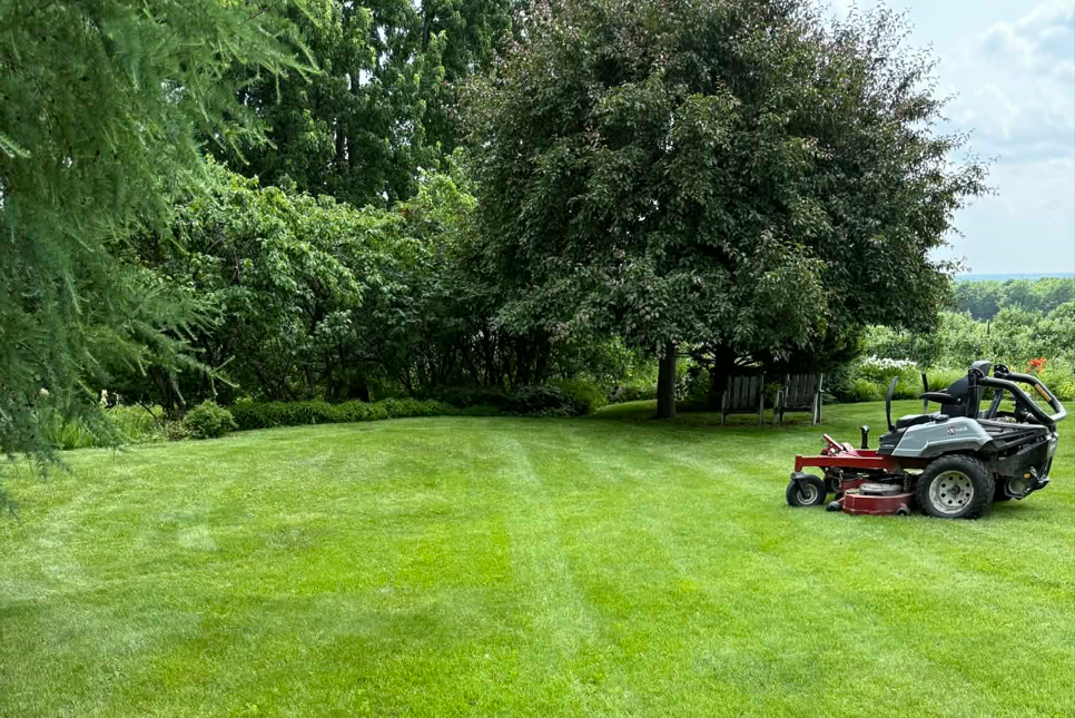 a-propos-paradis-du-gazon