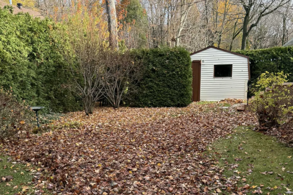 ramassage-de-feuilles-paradis-du-gazon